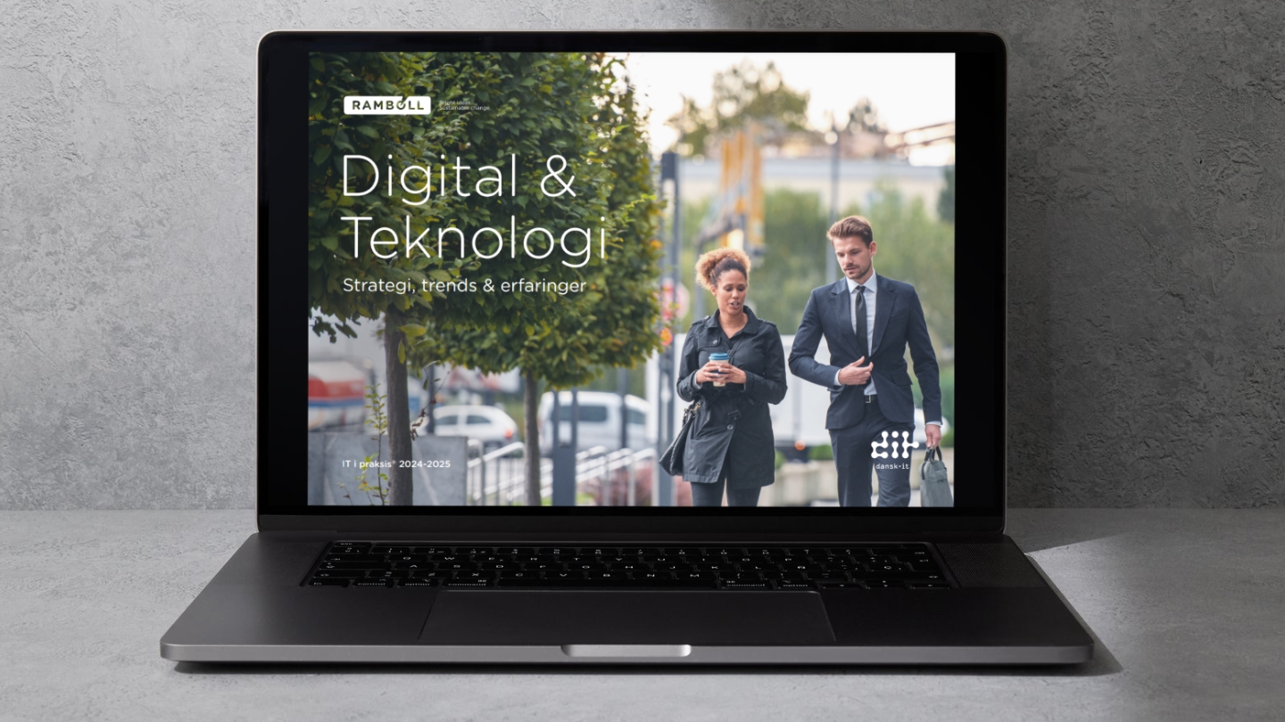 IT i praksis 2024-25: Hent rapporterne